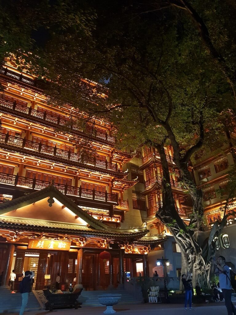 china, night view, tree, people's republic of china, nature, travel
